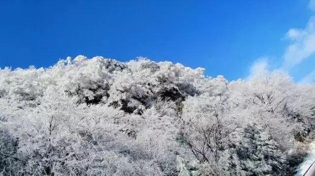 细胞分裂4