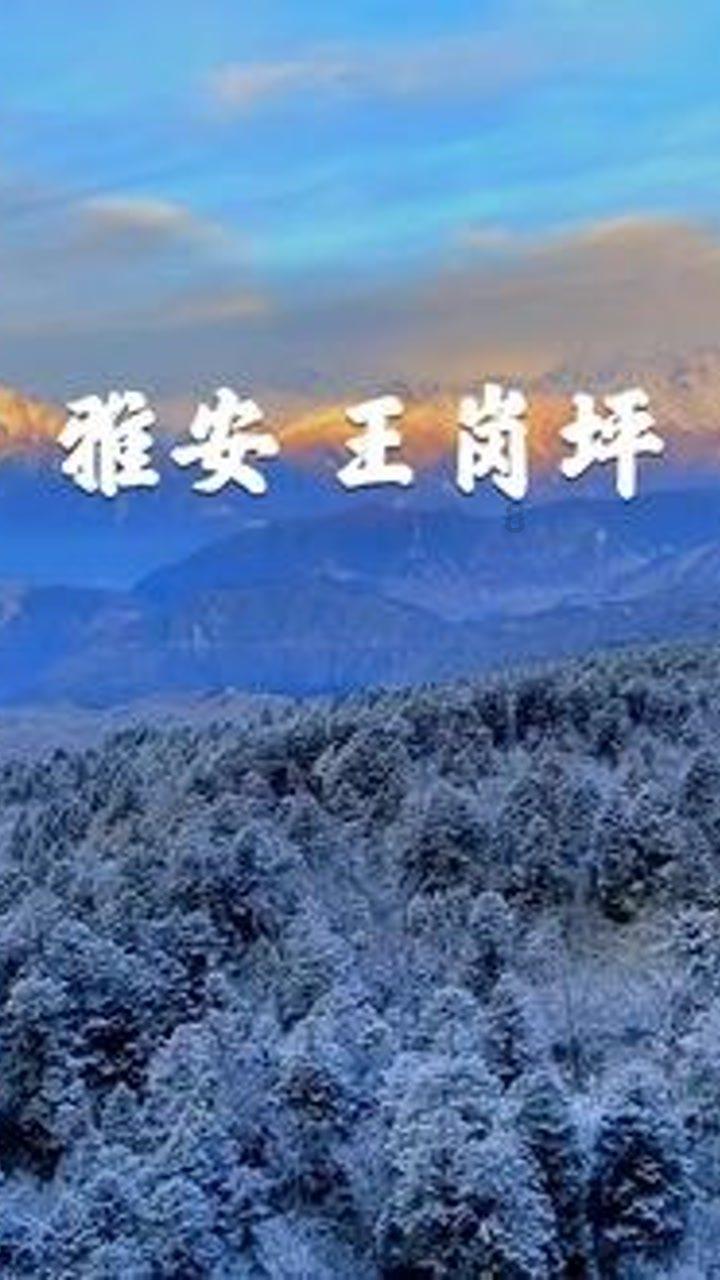 张子枫「男闺蜜」火了!180cm禁欲脸公狗腰