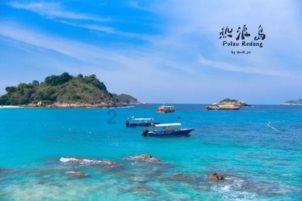 谢霆锋高圆圆录制《百姓的味道》,他们之前合作过哪些经典作品?-红迪网平台