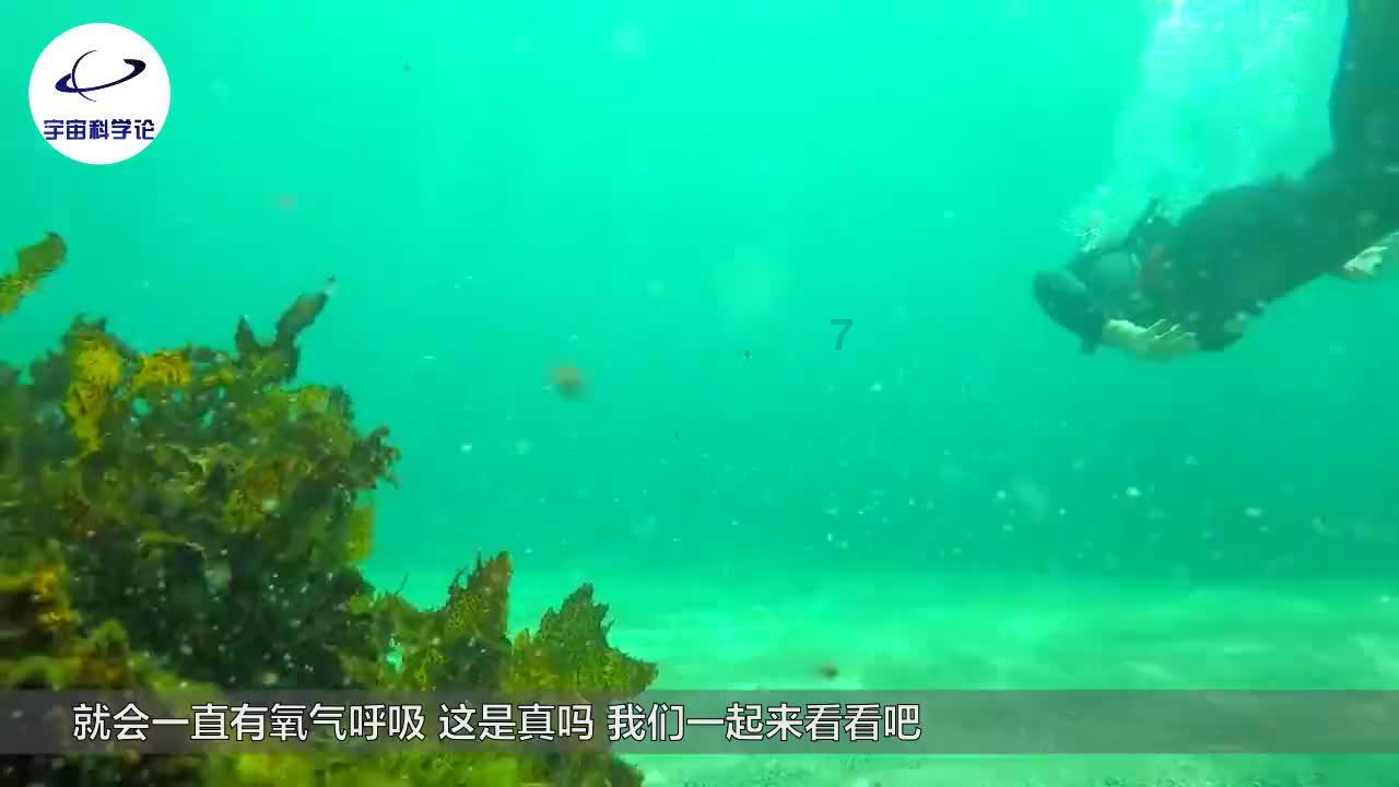 【中国自然资源报测绘版头条】江渚青青雁归来——自然资源部第三大地测量队激发数据潜能服务湿地保护